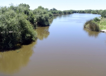 El Municipio va a la justicia para frenar obras ilegales en humedal