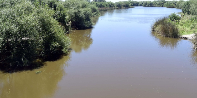 El Municipio va a la justicia para frenar obras ilegales en humedal