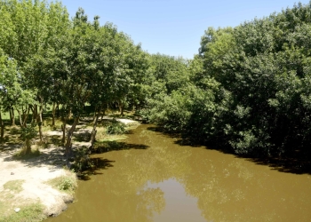 Ratifican prohibición de construcción privada en humedal del arroyo «El Pescado»