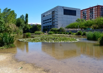 Biodiversidad, más oxígeno y menos ruido