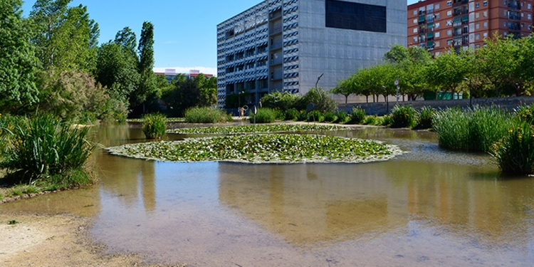 Biodiversidad, más oxígeno y menos ruido